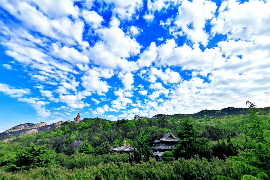 端午去赤山！邂逅一“夏”25℃的治愈系森林_清凉