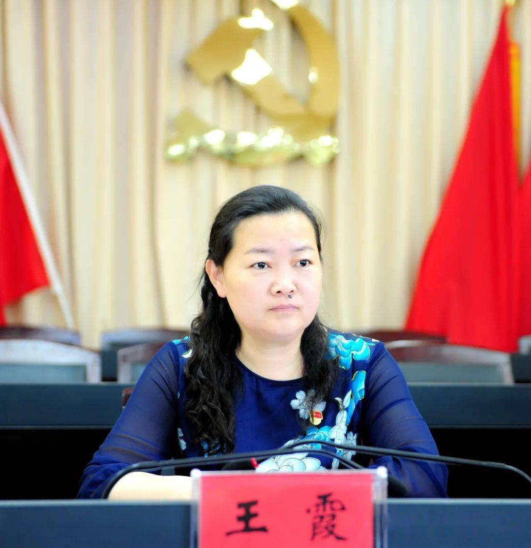 新蔡"工作推进会在县委第一会议室召开,县委常委,宣传部长王霞出席