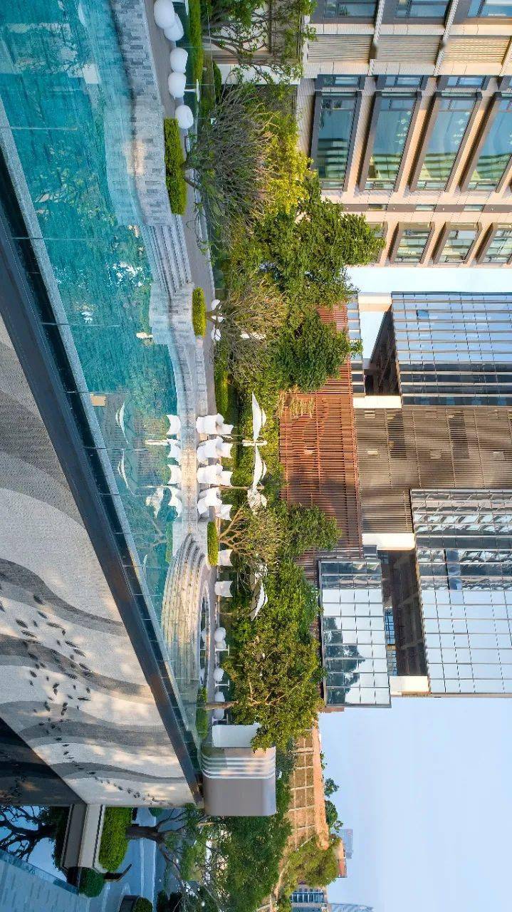 山在观山色,水来听水声 | 东莞中海 · 莞府