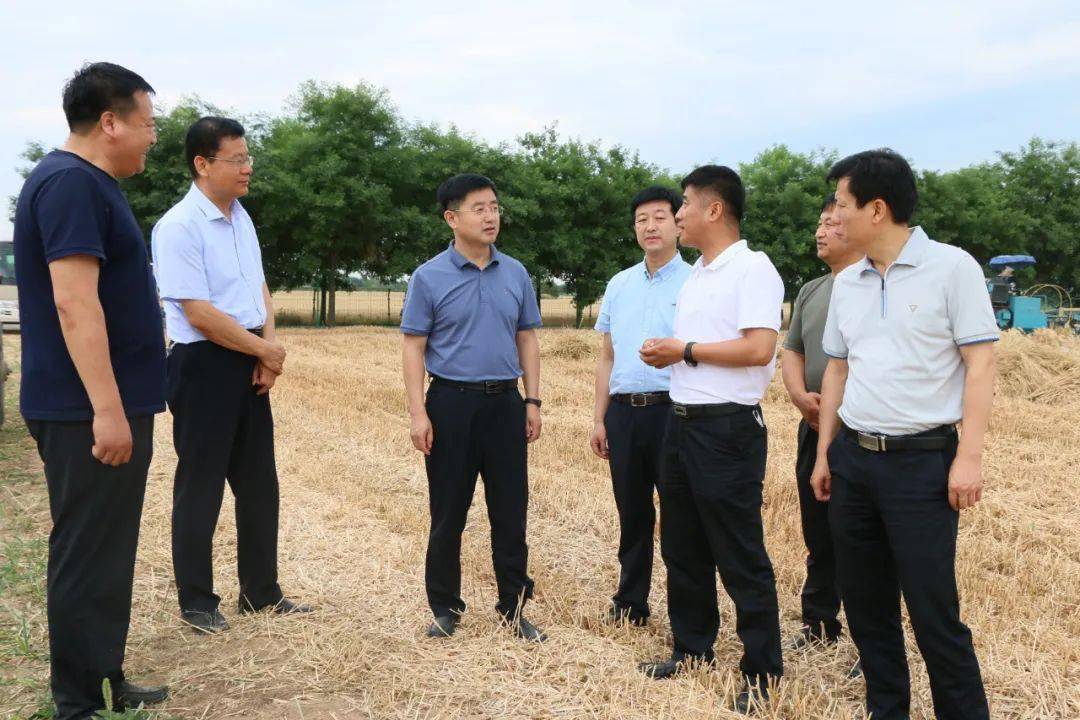 在武功镇上营村田间地头,贞元镇东方农机专业合作社,姚俊峰通过实地