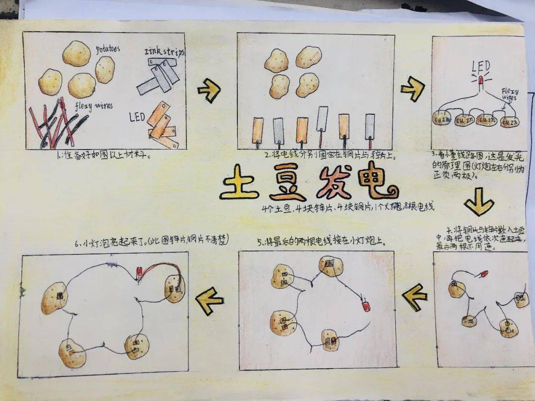 土豆手抄报图片大全图片