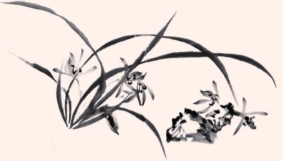 图文教程:轻松学画三幅写意兰花小品_步骤