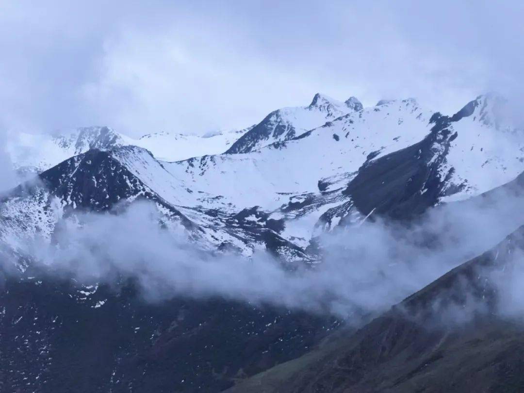 川西花海悄然而至 两天一夜川西秘境之旅 邂逅雪山 草甸 花海 星空 云海 巴朗