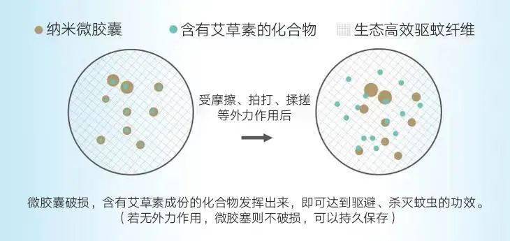 艾草曲谱_艾草简笔画(3)