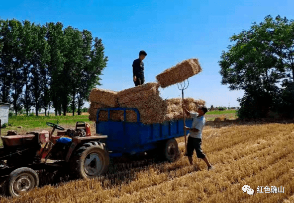 秸秆禁烧是对是错 04f2ca22535742169abe7ceec1c0cfab.png