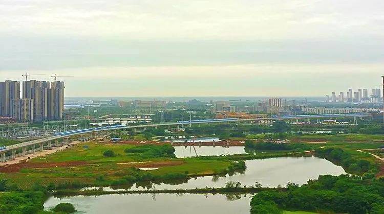 汉南绿地城协子河畔图片
