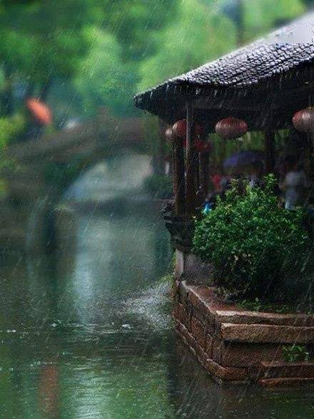 【诗中情味】小诗二首：《七绝·苏醒》《鹧鸪天》