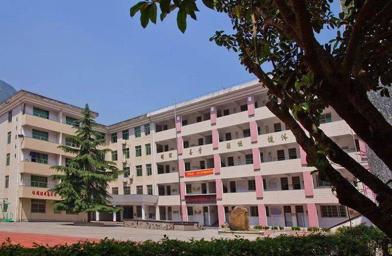 棒!青田一小学入选第二批浙江省艺术教育实验学校,全省仅53所