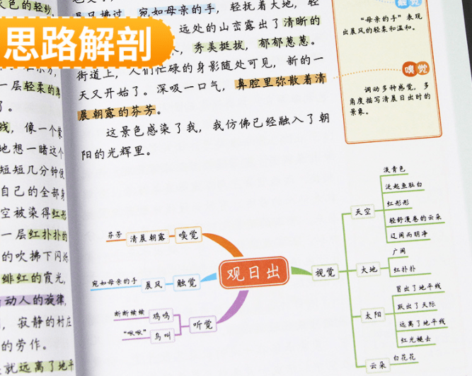 思维导图全书包括69个思维导图,从五种感官进行拓展剖析,方便孩子