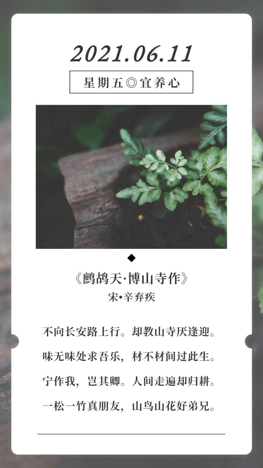 古诗词日历辛弃疾鹧鸪天博山寺作赏析