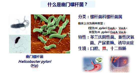 以菌治菌!用益生菌产品打破传统治疗旧格局