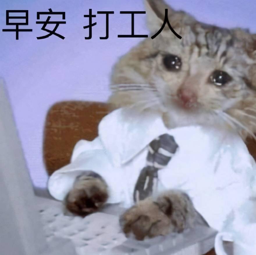 b378d7da01ae4216b8e4ebfef7122e4c.jpeg