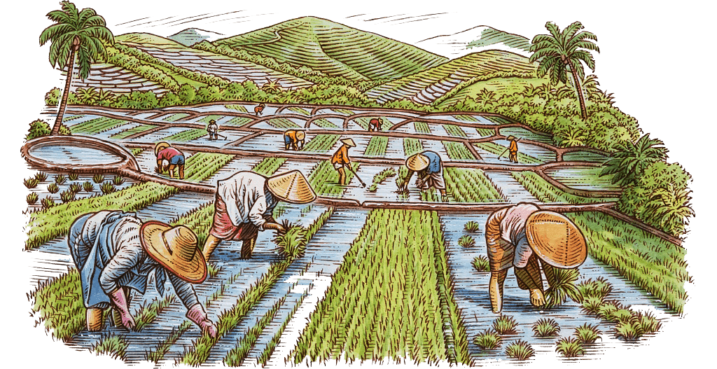 里来回穿梭调试"匀速,注意播撒穴距;喷头位置要调整一下……"田埂上