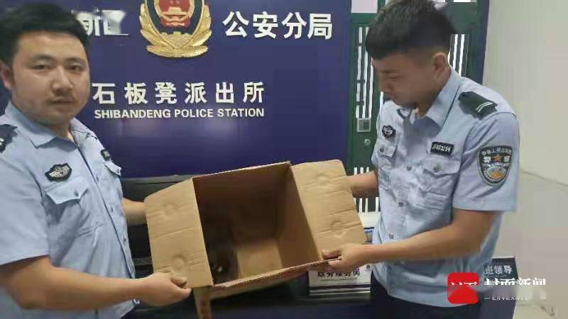 怎么才能找到村民的家 ad4b1d0676ae43ffb1e8419773a34d05.jpeg