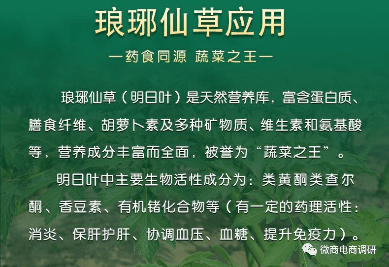 在宣傳材料當中,琅琊仙草葉茶通過該產品主要成分明日葉宣傳稱其具有