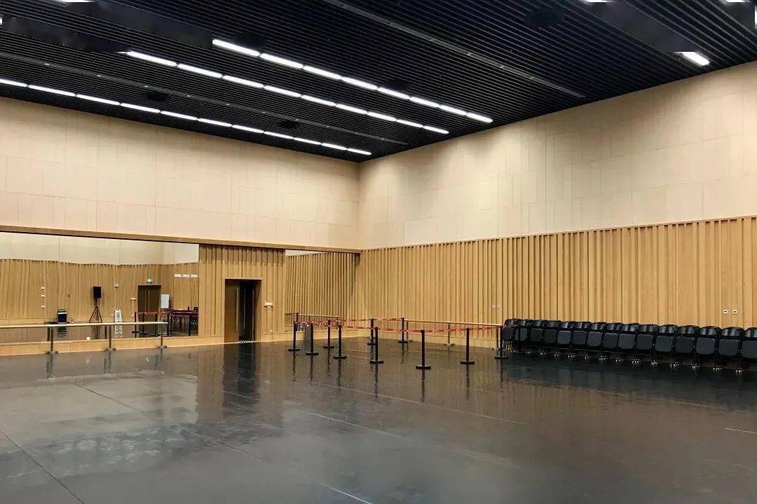 音乐与节奏每2-4节课一个舞蹈片段,舞蹈从易到难,任何舞种流行舞蹈得