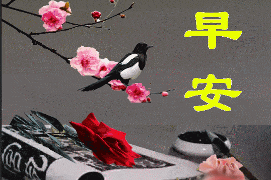 心如莲花人生就会一路芬芳早安