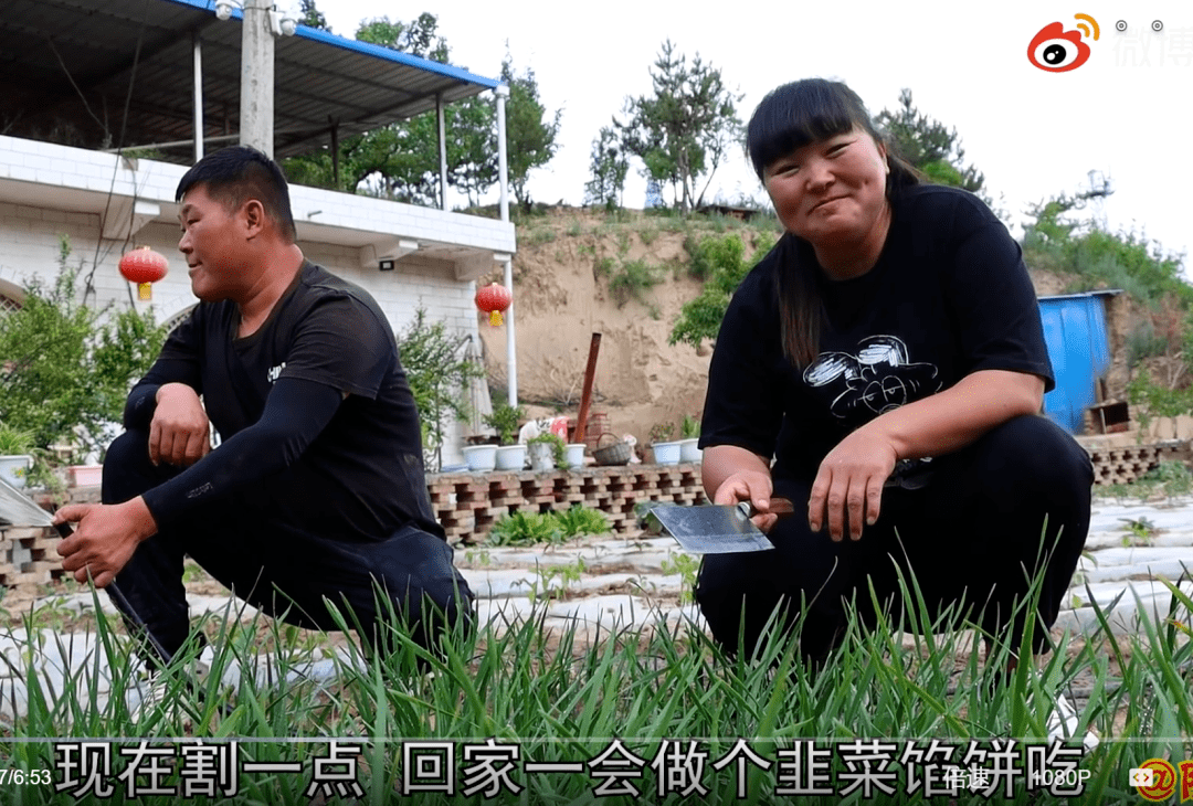 图 | 陕北霞姐在老家割韭菜准备直播做馅饼关于那场直播,霞姐全部的
