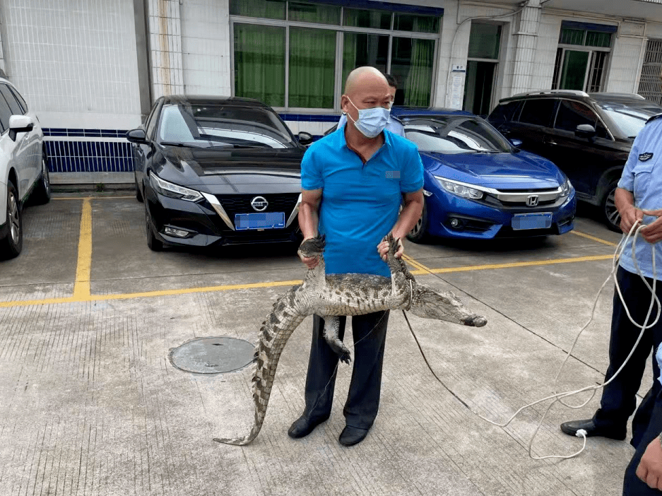 鱷魚暴走丹灶街頭阿sir馬上出手發現這些動物趕緊報警