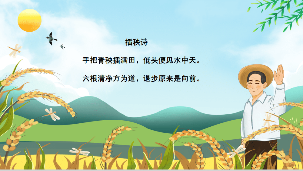 【小记者站新闻】中山小学:"校园插秧"劳动主题活动受欢迎