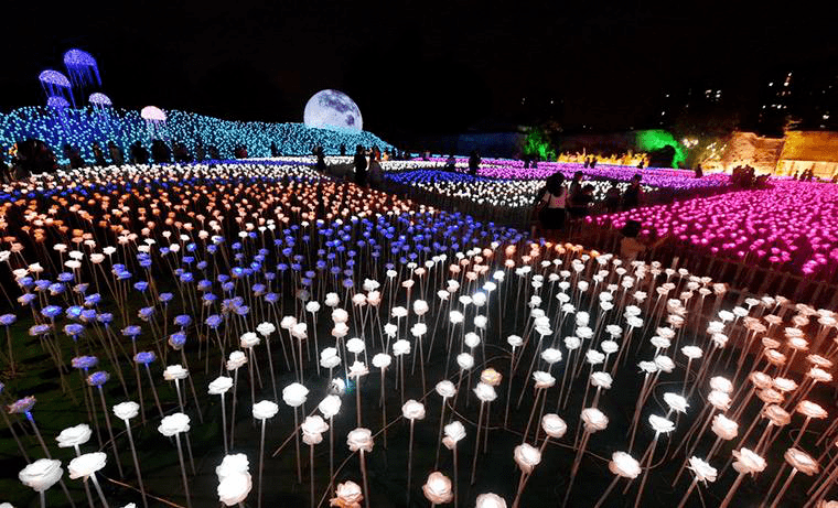 免票免票免票乐佳7d北极光之夜璀璨来袭