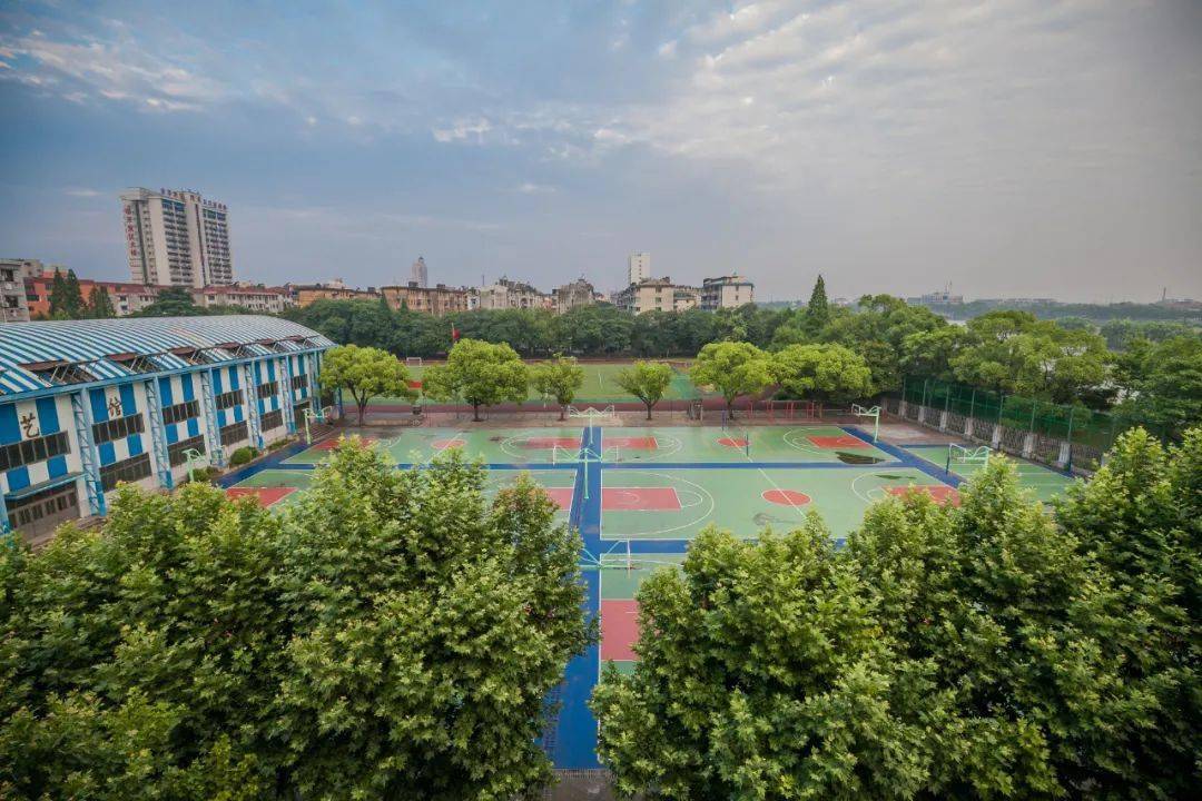 金华市中考招生直播咨询今日6月16号上线学校金华市第八中学