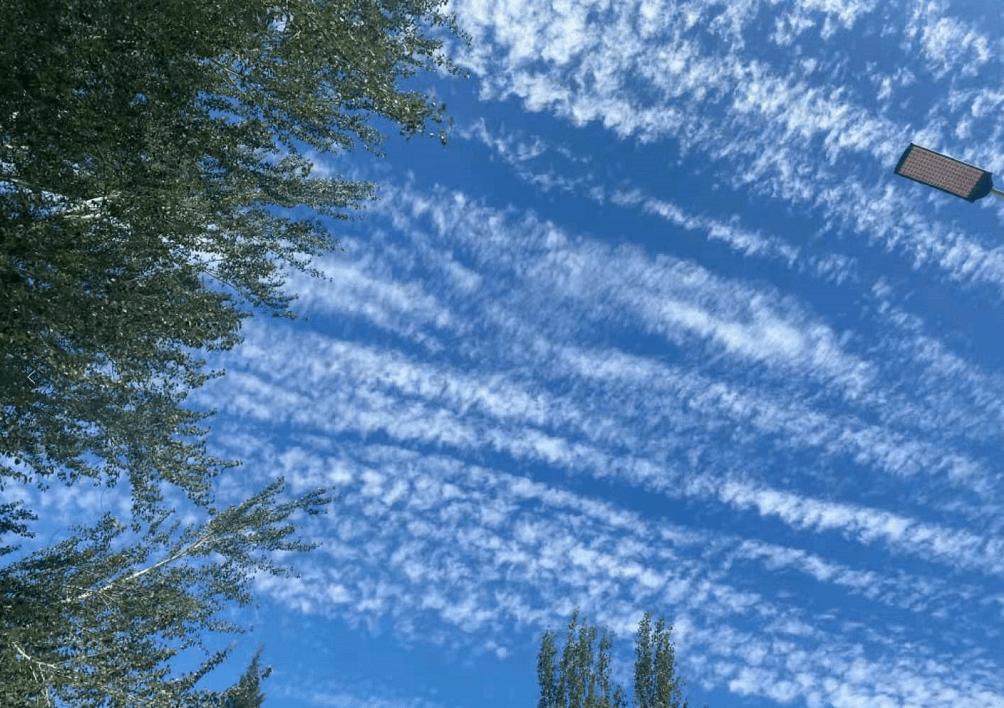 超美!今天,张家口的天空刷爆朋友圈!阵风7-8级!大风蓝色预警!