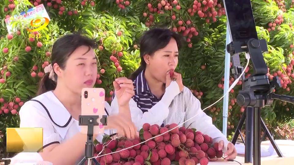 菩提排行_菩提消失前调教了三位徒弟,猴子是其一,剩下两位比他猛