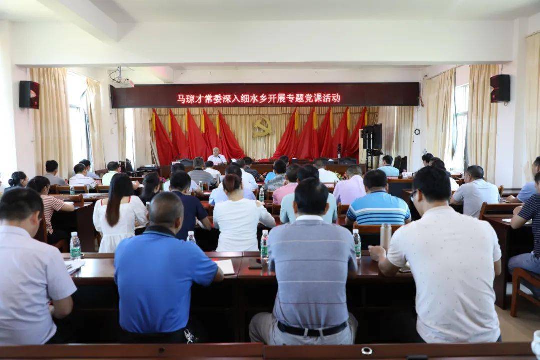马琼才到细水乡开展专题党课活动 为推动党史学习教育