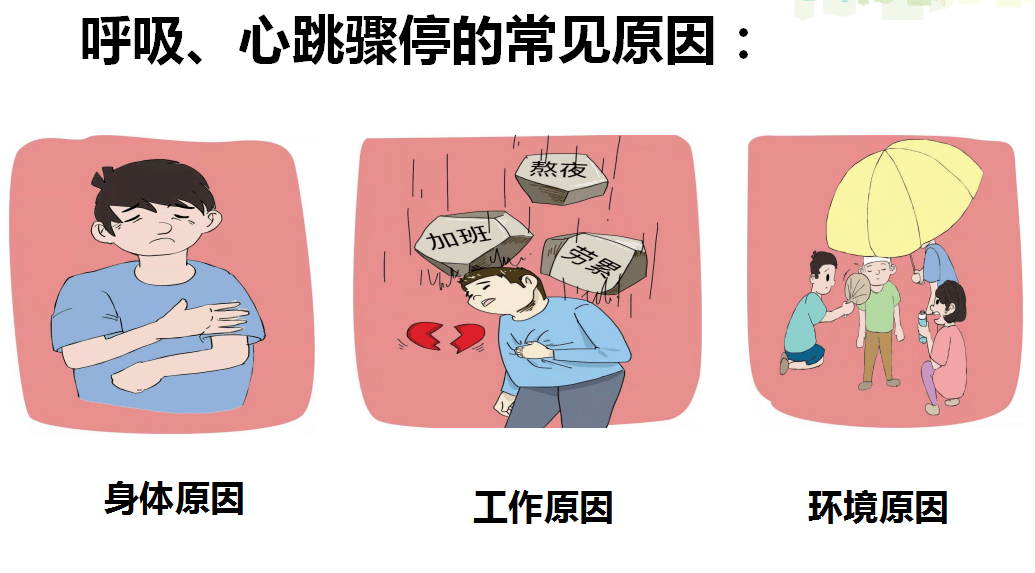 54e9fdbf1ede405e94133dc4be433cbb.png
