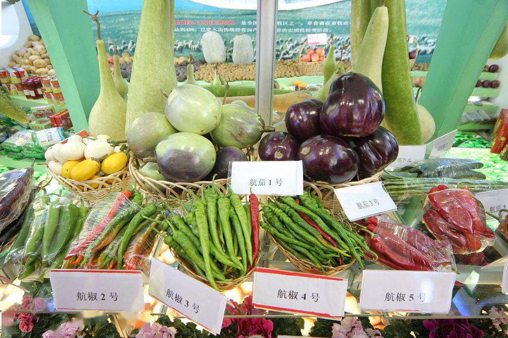 2006年10月16日,太空蛋茄,太空菜葫芦,太空茄子,太空辣椒等太空蔬菜