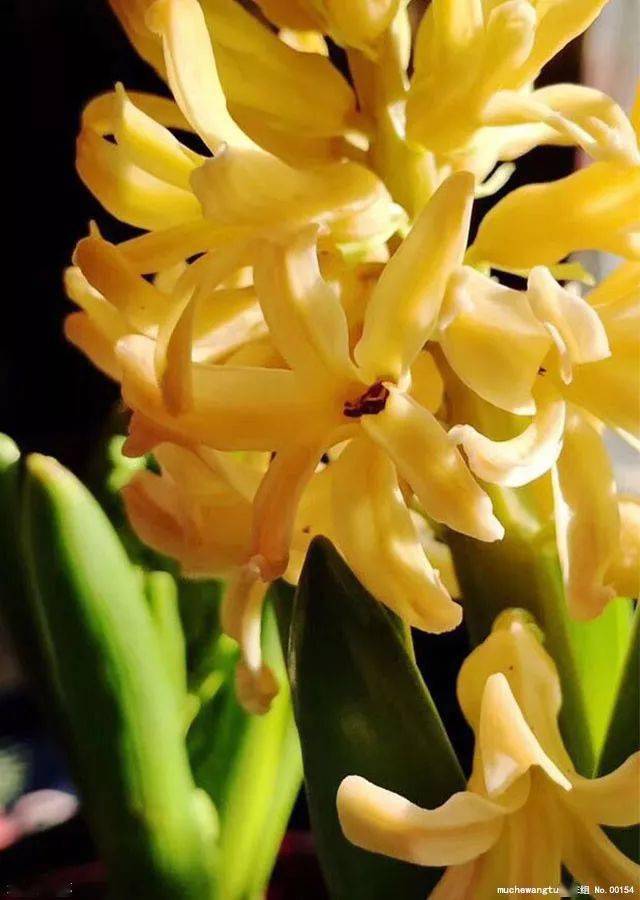 舍得您一定要读