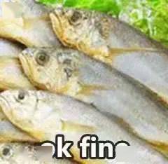 208b8a0433944c0388cf3ea0618202c5.jpeg