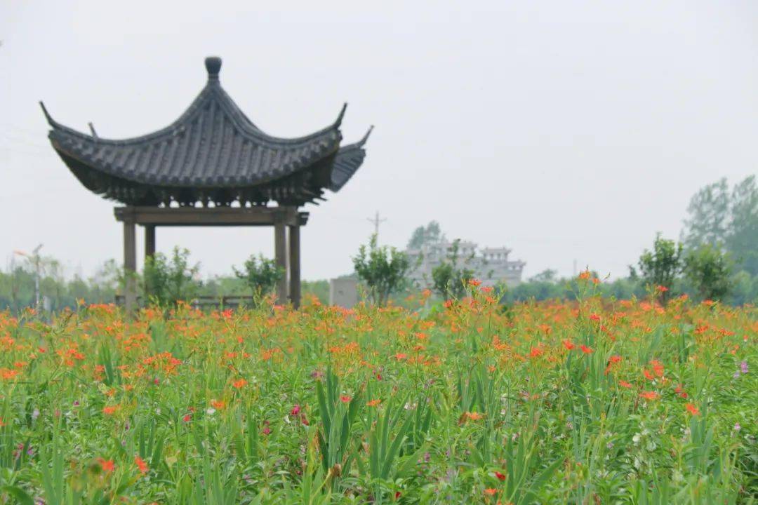 汝南梁祝公园刚拍的!漂亮吗?