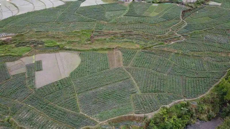 德保县gdp有望超田东吗_广西71个县 市 经济实力排行榜,桂林排名最高的竟然是