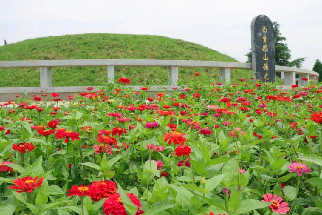 汝南梁祝公园刚拍的!漂亮吗?