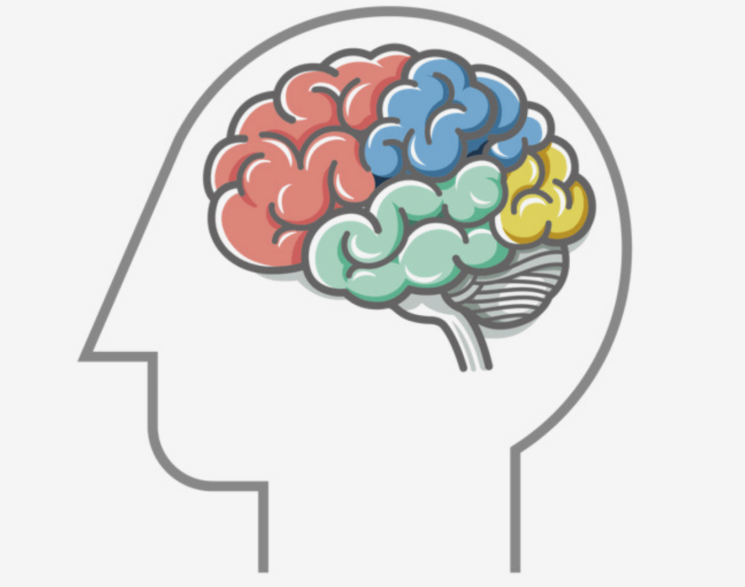 琼斯的换脑手术下周话题预告不同意楼上的解释,这种进化发展观太过