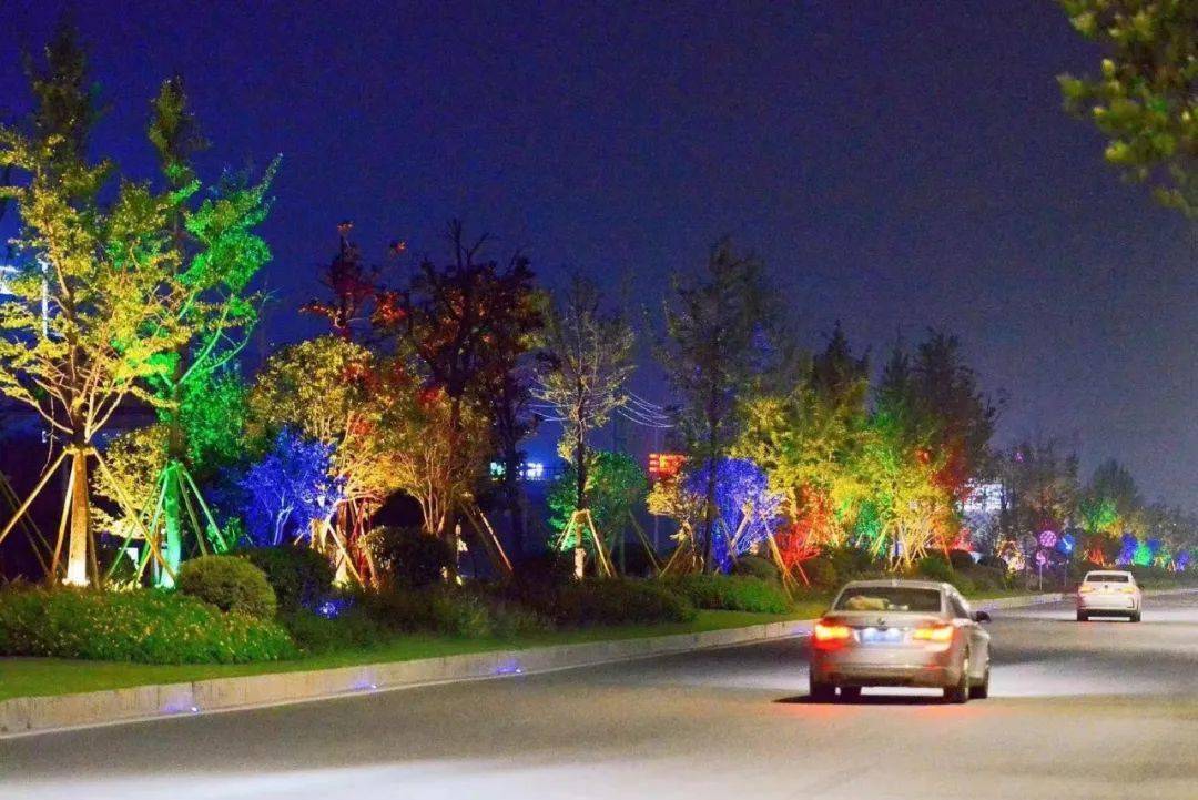 童话世界乐清这个地方的夜景太梦幻了