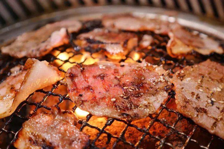 中国人均肉类_肉类卡通图片(2)