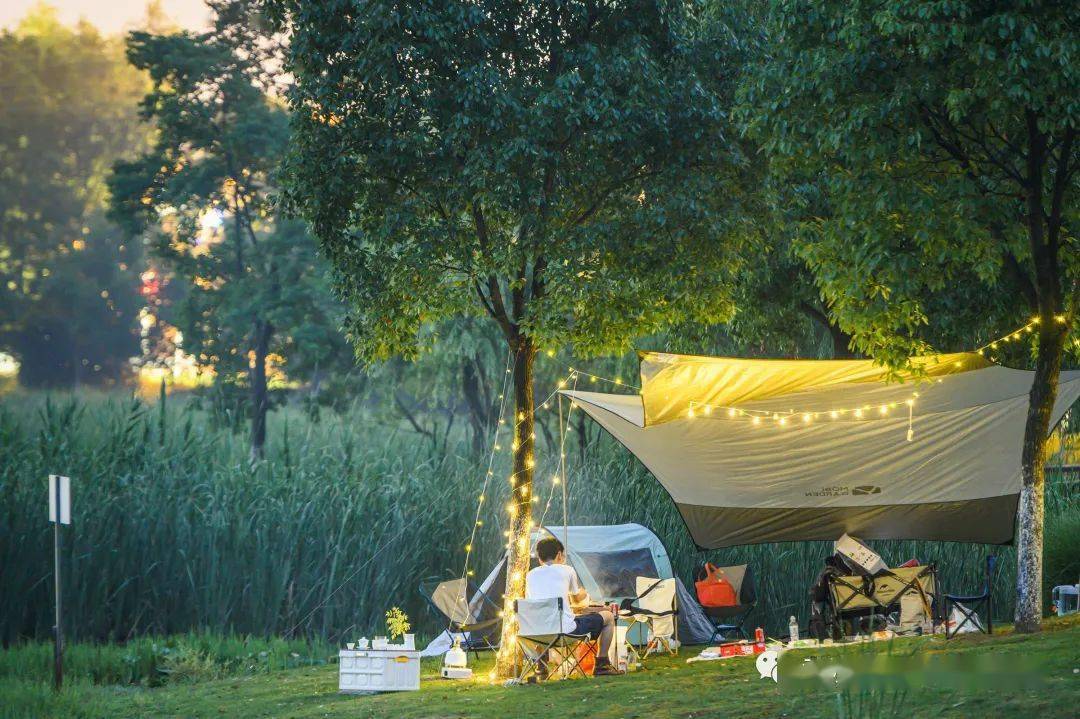武汉这个公园有点野,露营满分