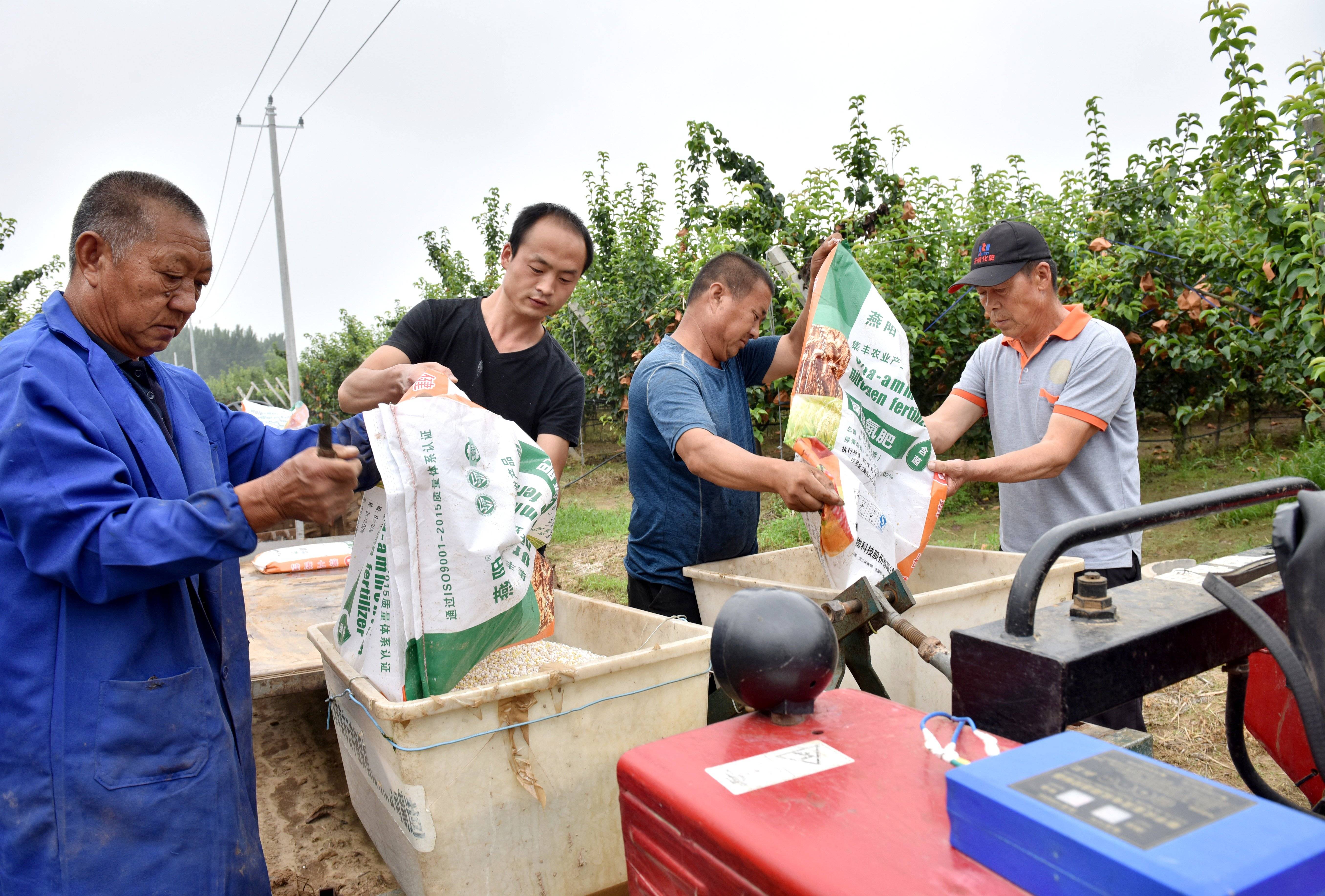 梨园民兵抓小偷图片