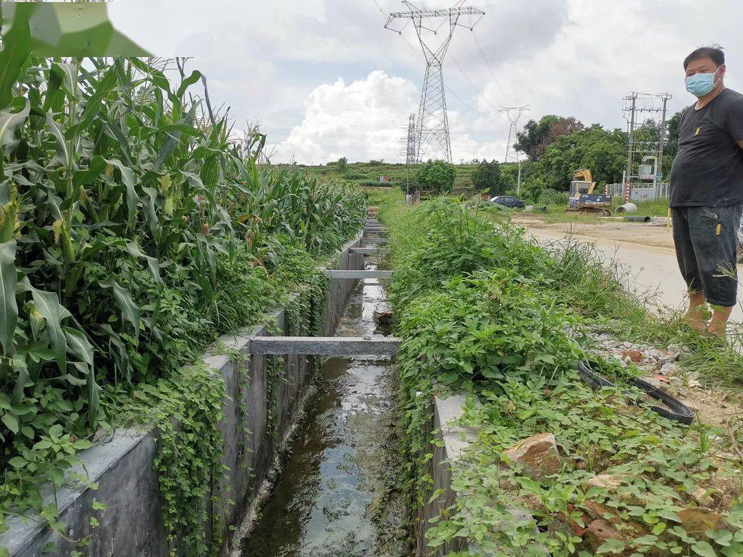 龙口镇青文村"三面光"工程完工啦!村民纷纷点赞._水渠