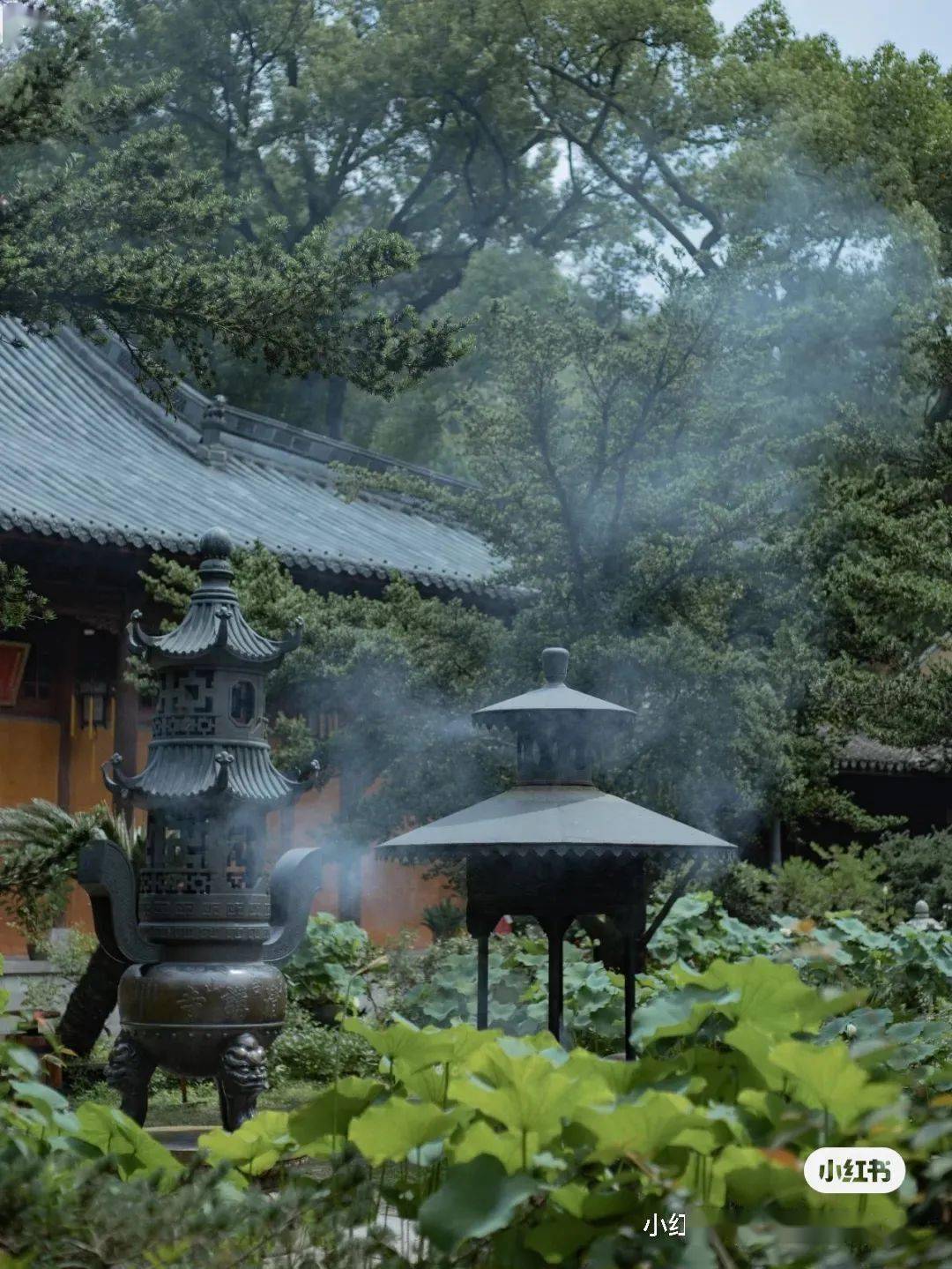 千年古寺前的荷花,她们聆听着古寺的禅音,见证着僧侣们的清修.