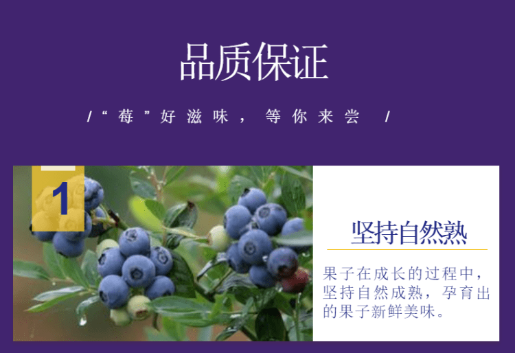 a5a2c6566d4d4c3ebae97168795d564a.png