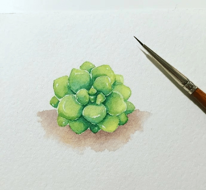 10分钟教你画水彩教程:多肉