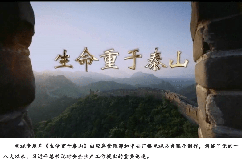 特别提示图解版生命重于泰山课件