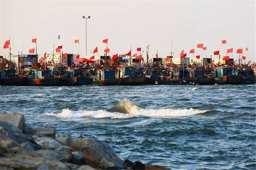 暑假第一期7月1011号探秘北方小马代龙口桑岛依岛纯玩亲子二日游