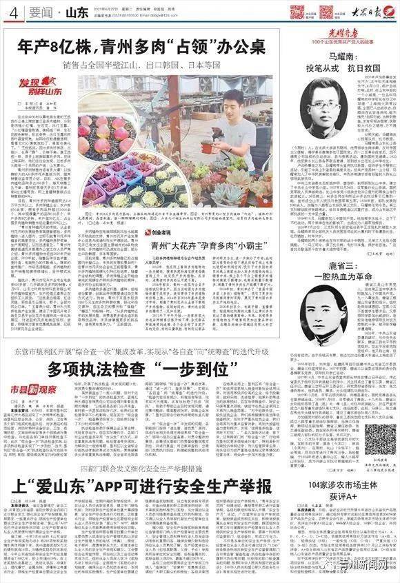 多肉排行榜_这些多肉这么美这么可爱,美的让人流连忘返啊(2)