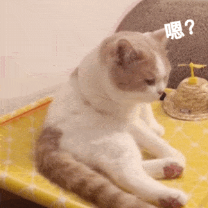 300_300gif 动态图 动图