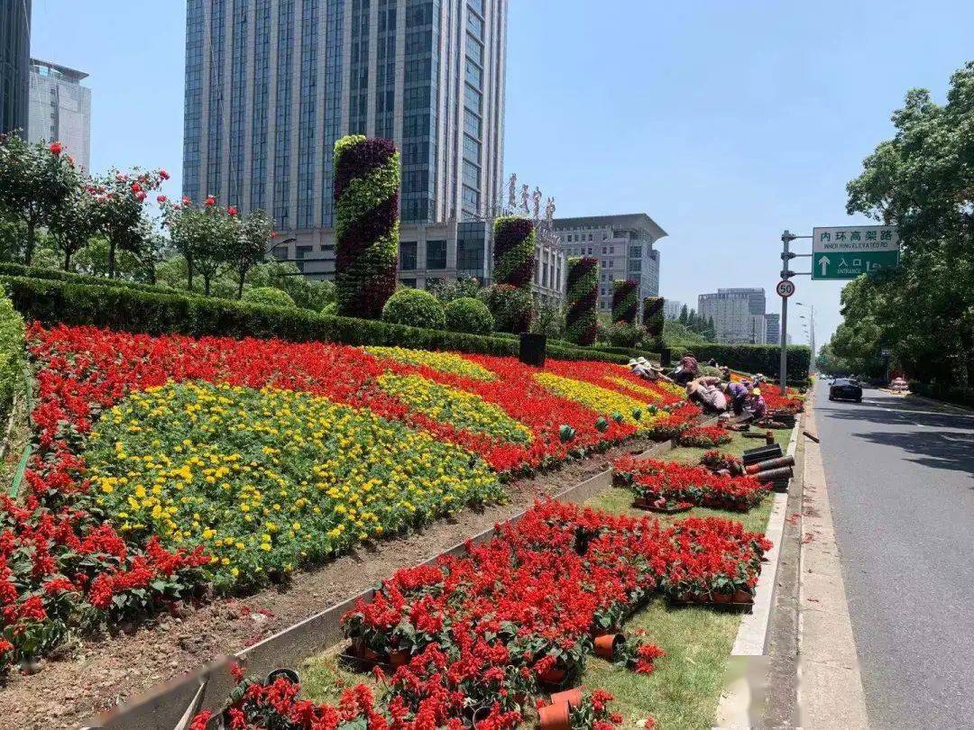 红,孔雀草相互呼应,景点花柱则采用了红黄双色彩叶草螺旋种植的方式